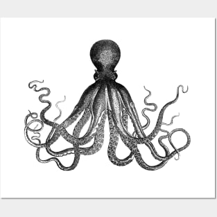 Octopus Posters and Art